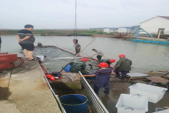 澧縣土地資源,澧縣公共基礎(chǔ)設(shè)施,澧縣工商業(yè)信息咨詢,澧縣澧州實(shí)業(yè)發(fā)展有限公司 澧縣土地資源,澧縣公共基礎(chǔ)設(shè)施,澧縣工商業(yè)信息咨詢,澧縣澧州實(shí)業(yè)發(fā)展有限公司